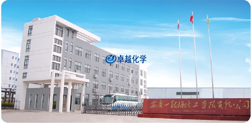 安慶一枝梅化工有限責任公司